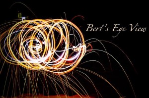 Bert's Eye View