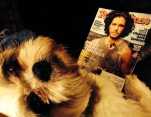 Dog Selfie