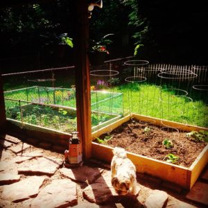 Sowing the seeds of love
