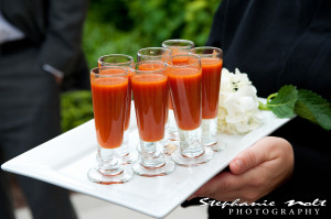 Stephanie Nolt Photography 