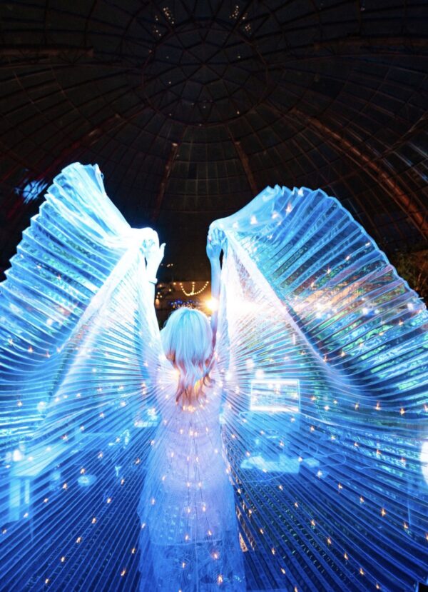 DeeJay Shelly Dream Wings - Glow - Adult White