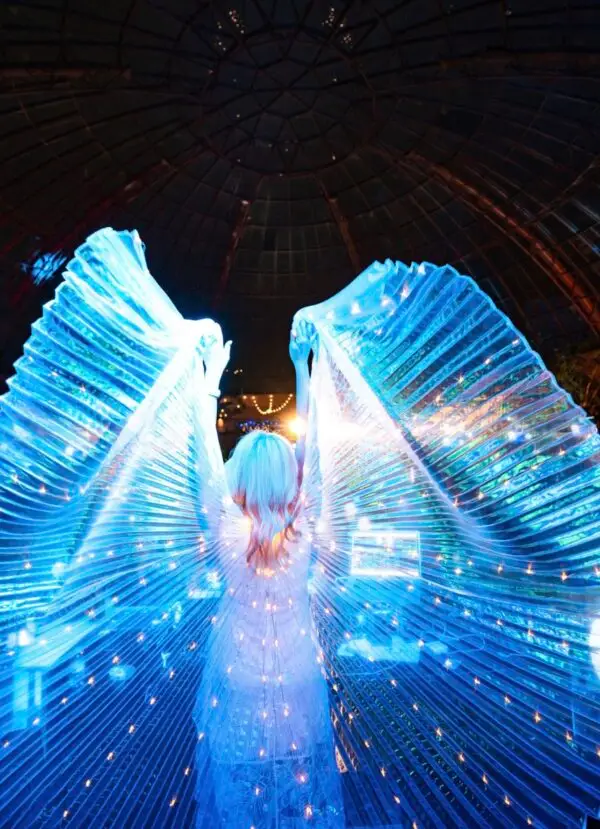 DeeJay Shelly Dream Wings - Glow - Adult White